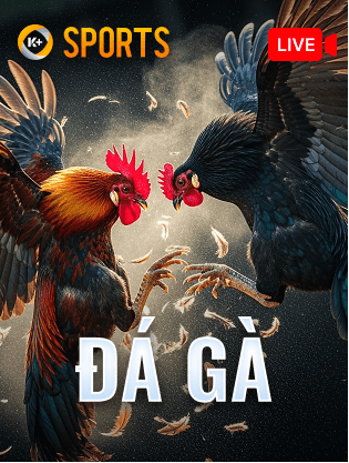 BOM88 Đá Gà K-Sports